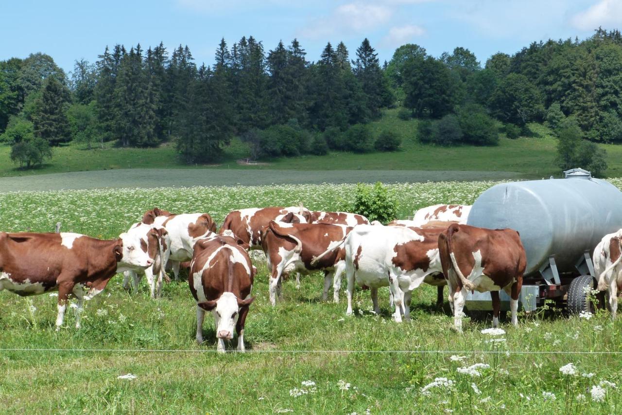 La Grange De Haute-Joux Les Fourgs Ngoại thất bức ảnh